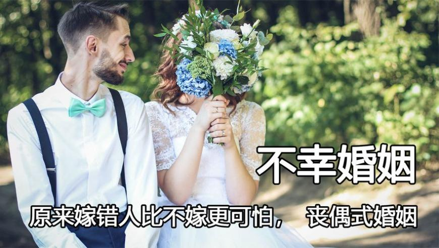 澳门最准的免费资料网站,Netflix将制作师父Sifu电影,整体规划执行讲解_升级版V15.56