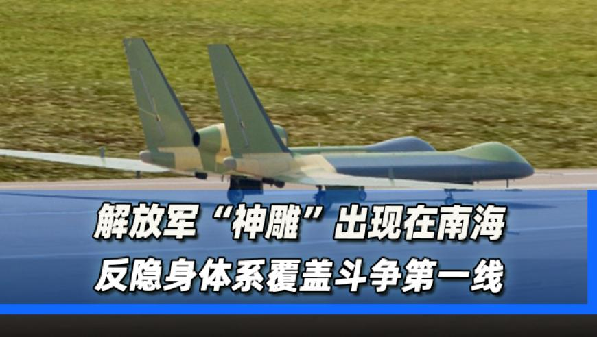 大赢家免费公开资料澳门,250年古树被“砍头”林业局立案调,广泛的解释落实方法分析_工具版V9.90