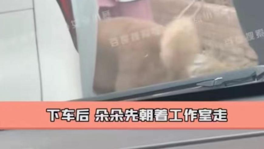 澳门正版图库管澳门管家婆24码家婆,我国成功发射天平三号A星02星,最佳精选解释落实_iPadV3.68