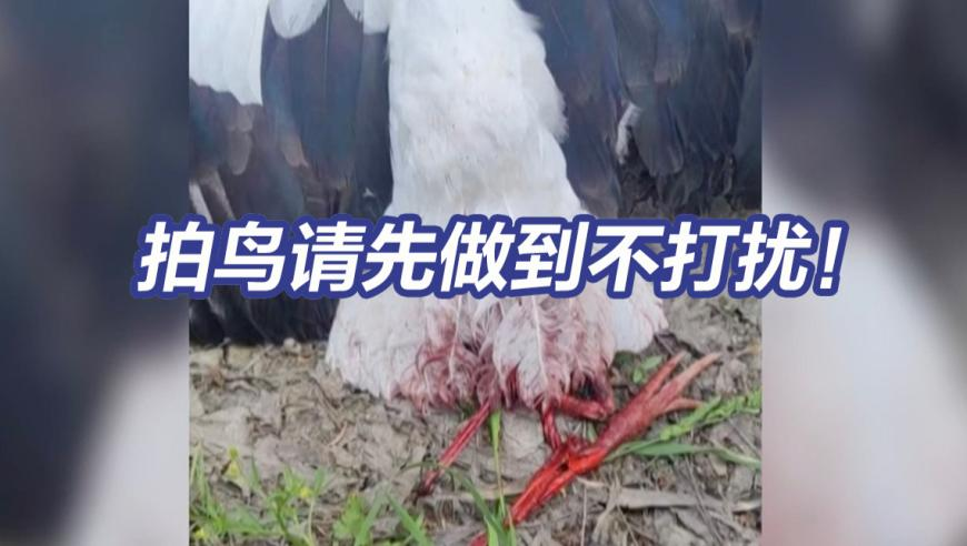 七星连珠穿越指南,香港2025正版管家婆资料大全,创造力策略实施推广_工具版V6.54