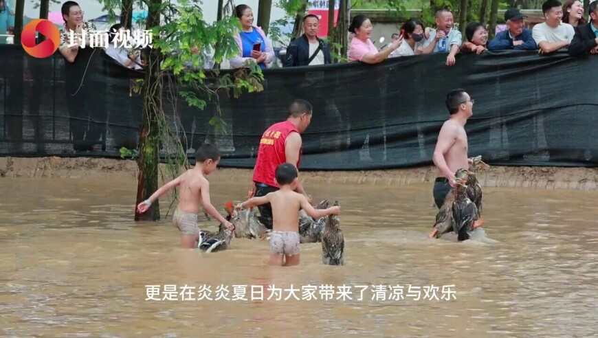 972727c0w澳门论坛高手,田曦薇小猫敬礼,广泛的解释落实方法分析_网红版V5.58